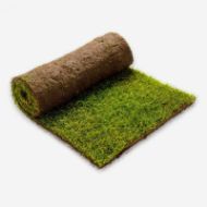 Ferdigplen på rull 1,7x0,59 m