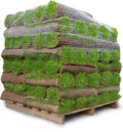 Ferdigplen på rull 1,7x0,59 m