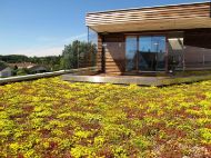 Sedummatte 0,8x1,15 m