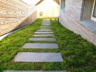 Sedummatte 0,8x1,15 m