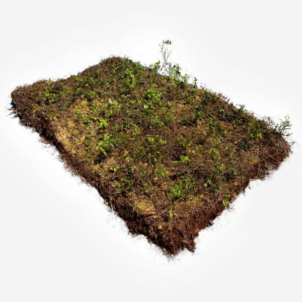 H-BERGKNAPP LYNG (20M2 pl (80x120cm), 3-4 TIM. m/SKYGGE FOR VEKST (vekt 0,6-1 tonn medium tørt)
