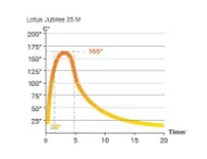 Lotus Jubilee 35 M Indian Night