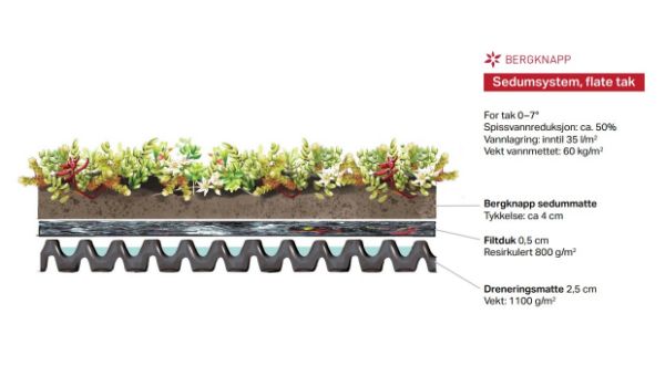 Drensmatte for sedum 1,33x2,22 m
